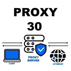 Proxy for 30 days