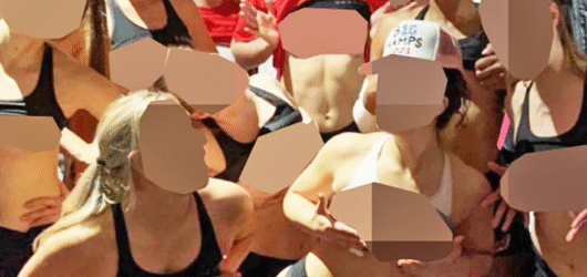 A Violation of Privacy: The Wisconsin Volleyball Team Leak and Its Aftermath